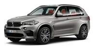X5M (F85)